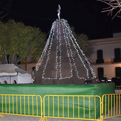 Árvore de Natal de Cortiça em Évora