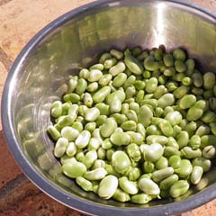 Favas contadas