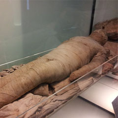 Múmia