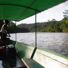 Amazonas