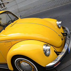 Carocha Amarelo