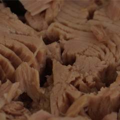 Atum em lata