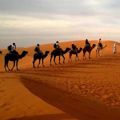 Deserto
