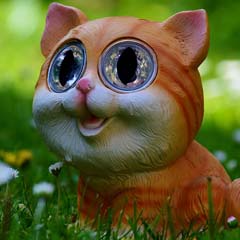 Gato Louco