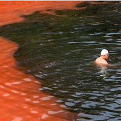 Mar de Sangue