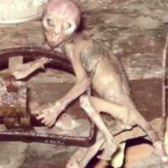 Bebé Alien