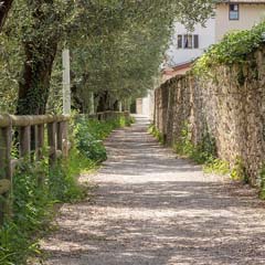 Caminho