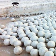 Bolas de Neves