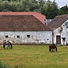 Herdade