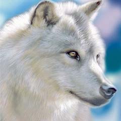 Lobo