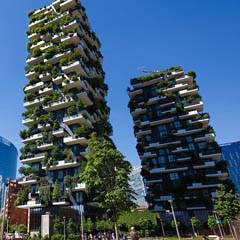 Floresta Vertical