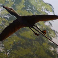 Pterossauro