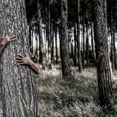 Invisivel