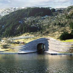 Túnel para navios