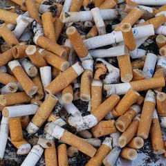 Cigarros