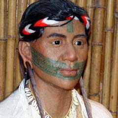 Indigena