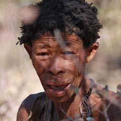 Africano velho