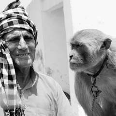 Homem e macaco