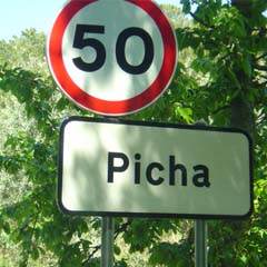 Picha