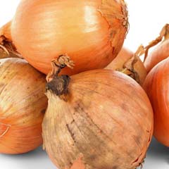 Cebola