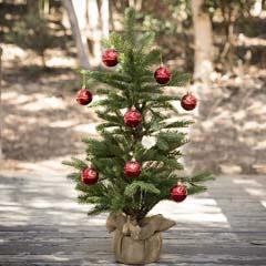 Arvore Natal