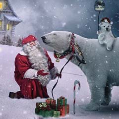 Natal Urso