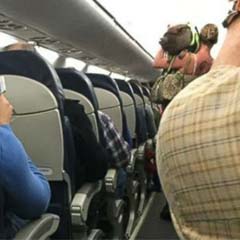 Porco no Avião
