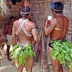 Indios