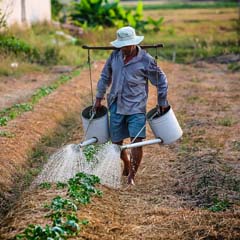 Agricultor