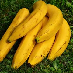 Bananas