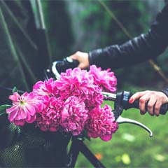 Bicicleta com flores