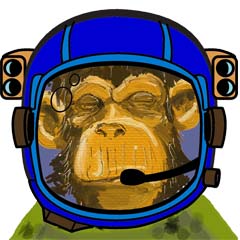 Macaco Astronauta