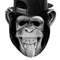 Macaco