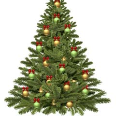 Árvore de Natal
