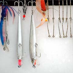 Pesca