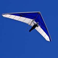 Asa Delta