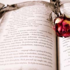 Livro