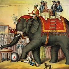 Circo
