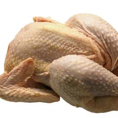 Frango
