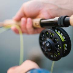 Cana de pesca