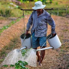 Agricultor