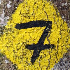 Número 7