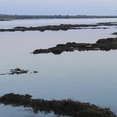 Ria Formosa