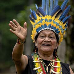 Indigena