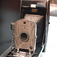 Polaroid
