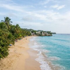 Praia de águas azul-turquesa e palmeiras na costa de Barbados sob iluminação natural do dia.