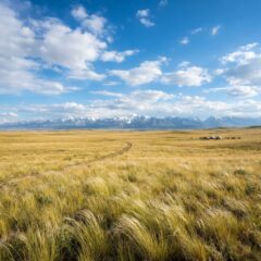 Paisagem aberta da estepe no Cazaquistão com montanhas ao fundo.