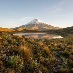 Vulcão Cotopaxi com pico coberto de neve e vegetação natural dos Andes na história do Equador.